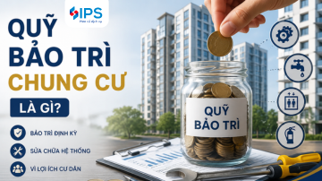 QUỸ BẢO TRÌ CHUNG CƯ LÀ GÌ? DO AI QUẢN LÝ VÀ ĐƯỢC SỬ DỤNG NHƯ THẾ NÀO?