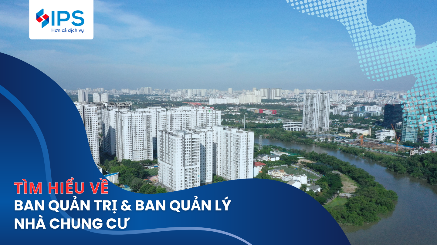 ban quản trị và ban quản lý